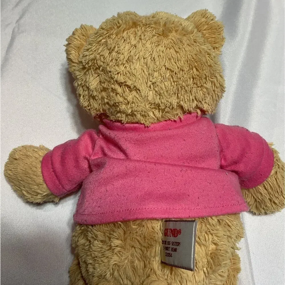 GUND Brown Bear I’m The Big Sister Teddy Bear Pink Shirt Stuffed Animal Toy_7